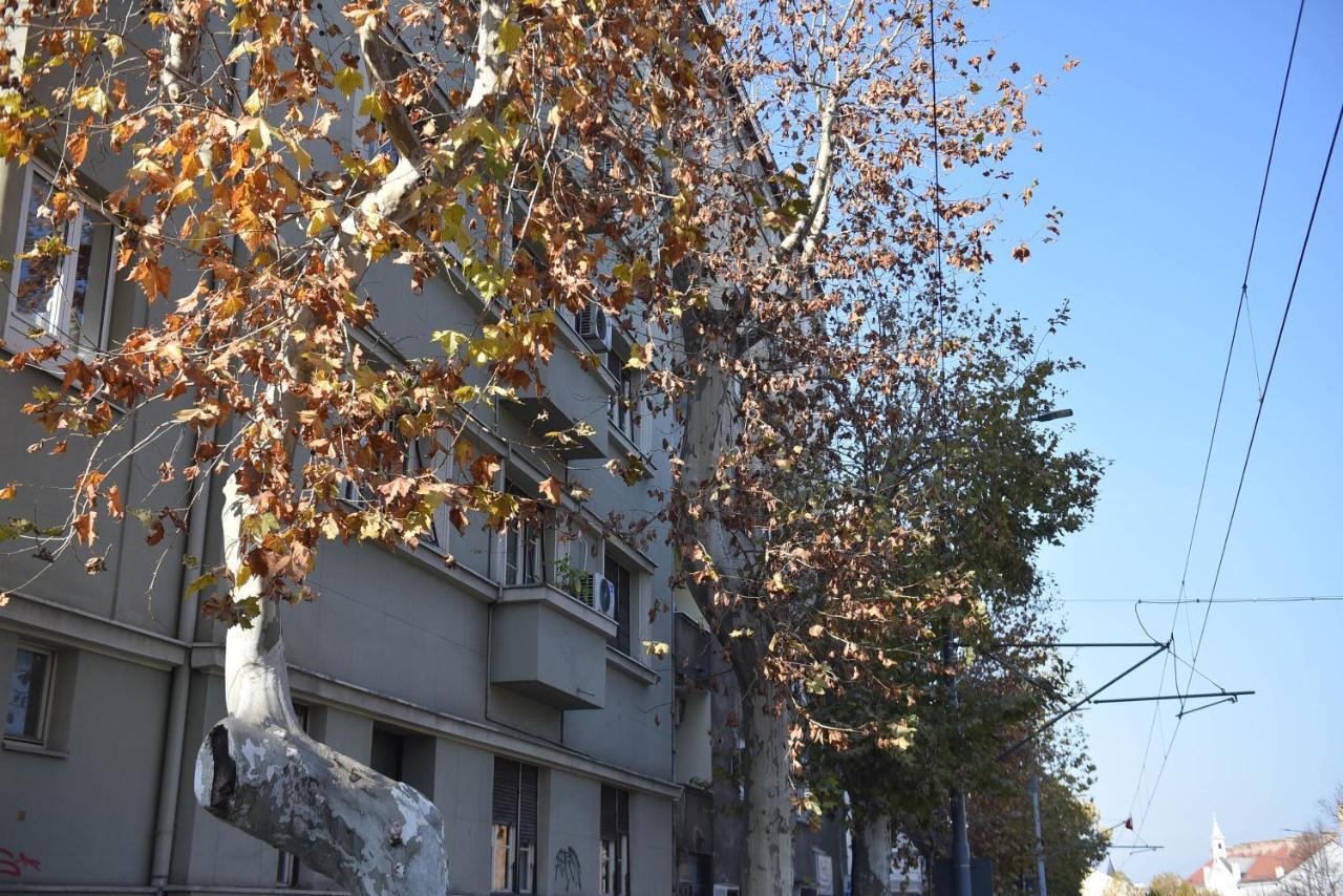 Friendly Home Apartment Белград Екстериор снимка
